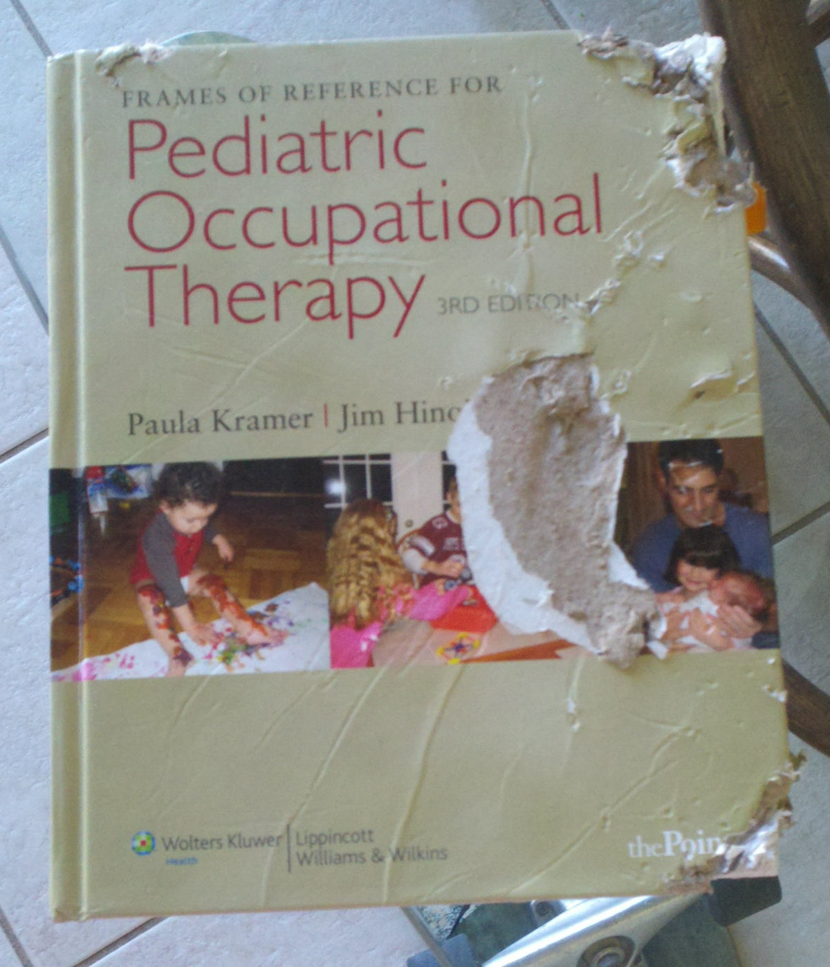 Frames of Reference for Pediatric Occupational Therapy