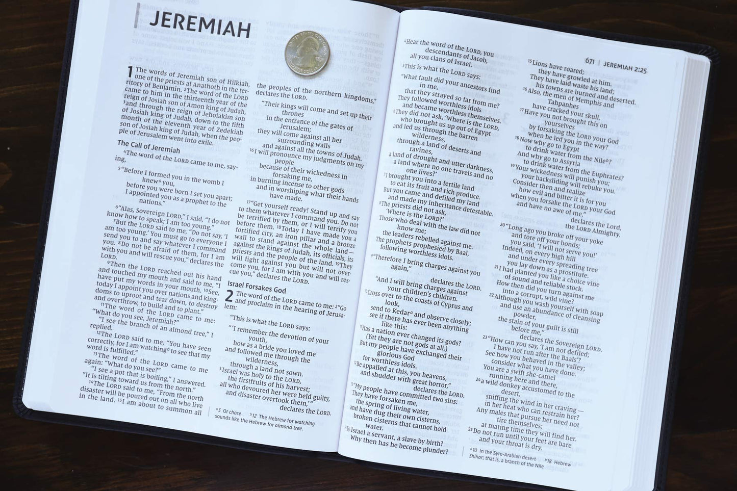 NIV, Value Thinline Bible, Large Print, Leathersoft, Gray/Black, Comfort Print