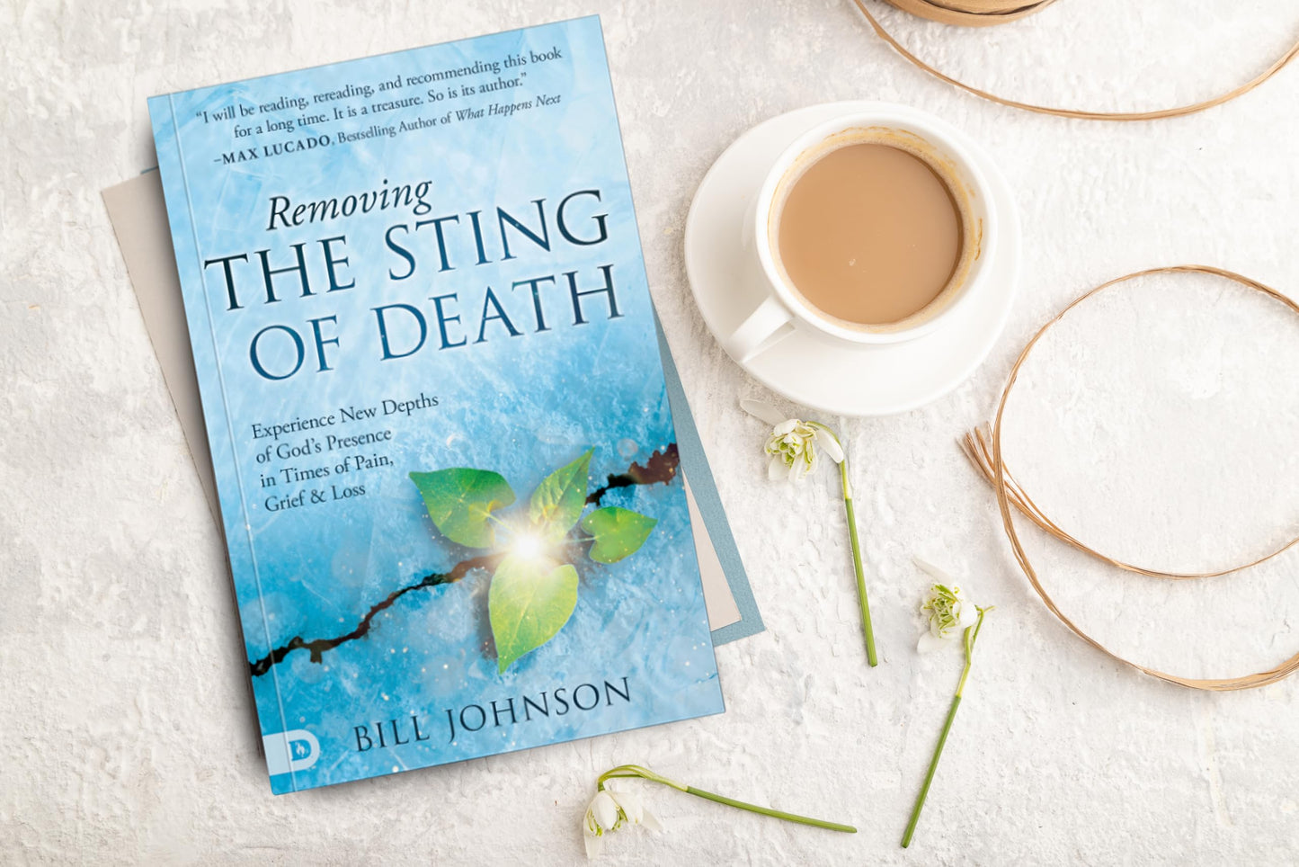 Removing the Sting of Death: Experience New Depths of God's Presence in Times of Pain, Grief and Loss