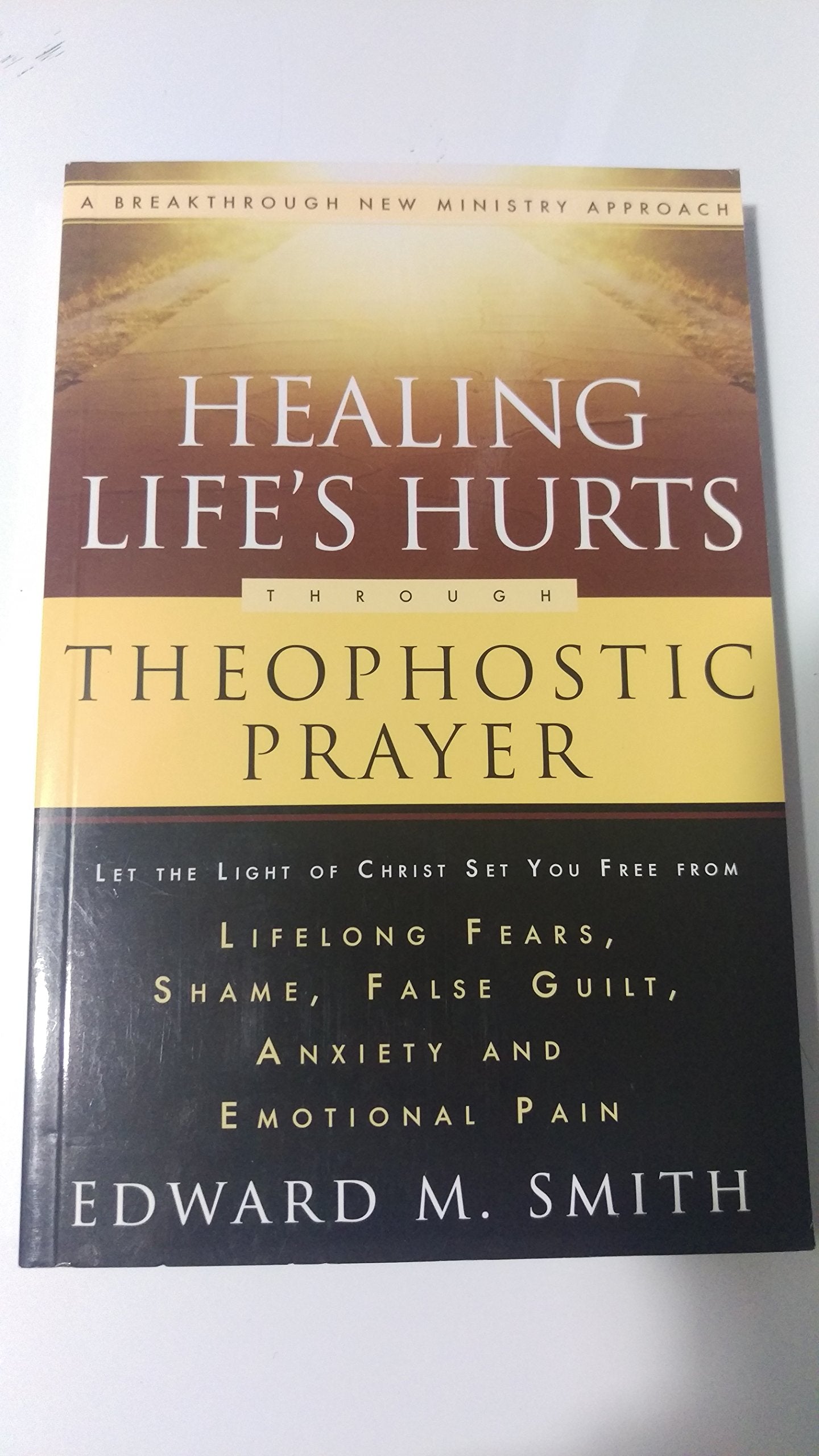 Healing Life's Hurts Through Theophostic Prayer: Let The Light Of Christ Set You Free From Lifelong Fears, Shame, False Guilt, Anxiety And Emotional Pain