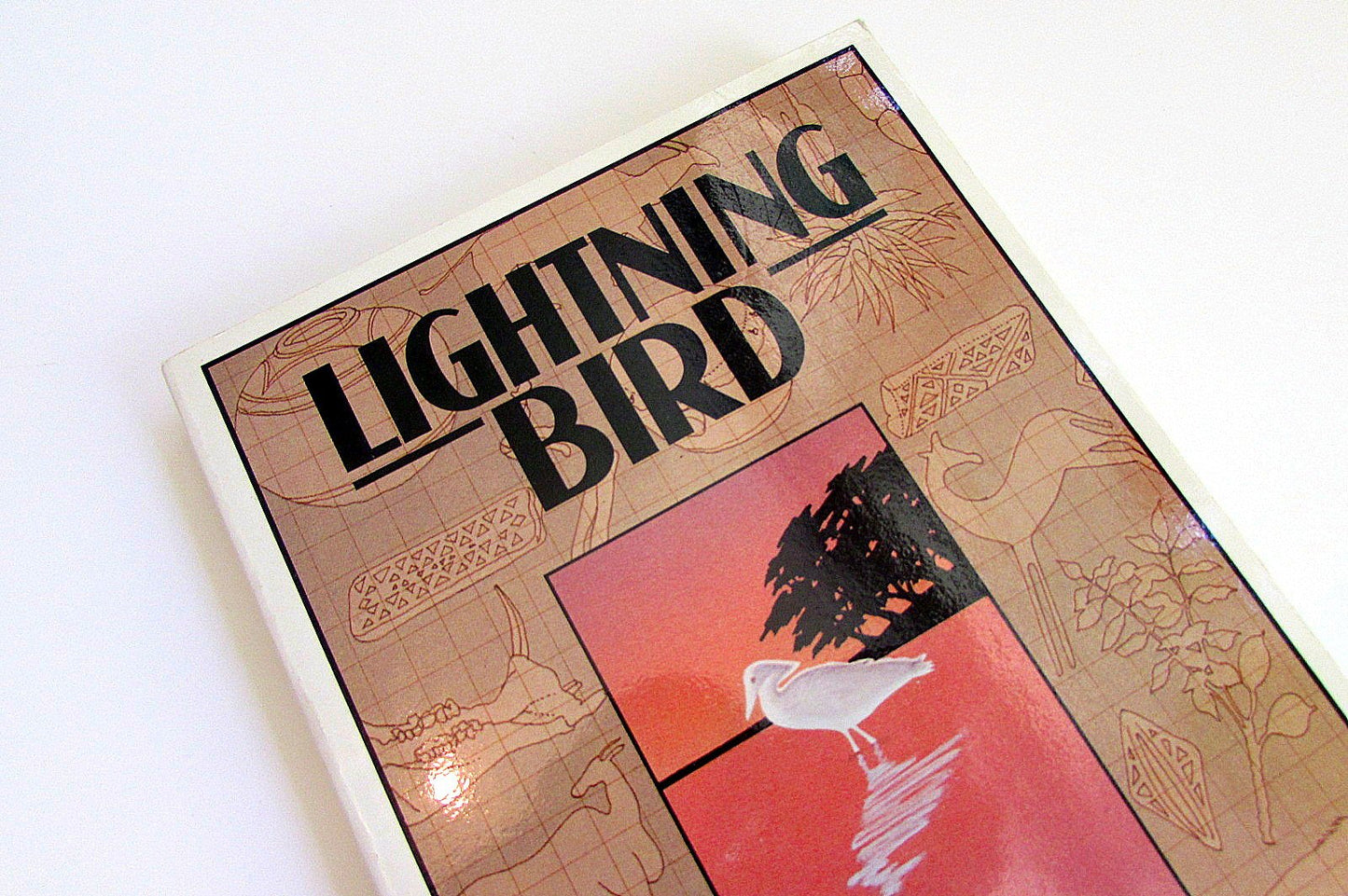 Lightning Bird: The Story of One Man's Journey into Africa's