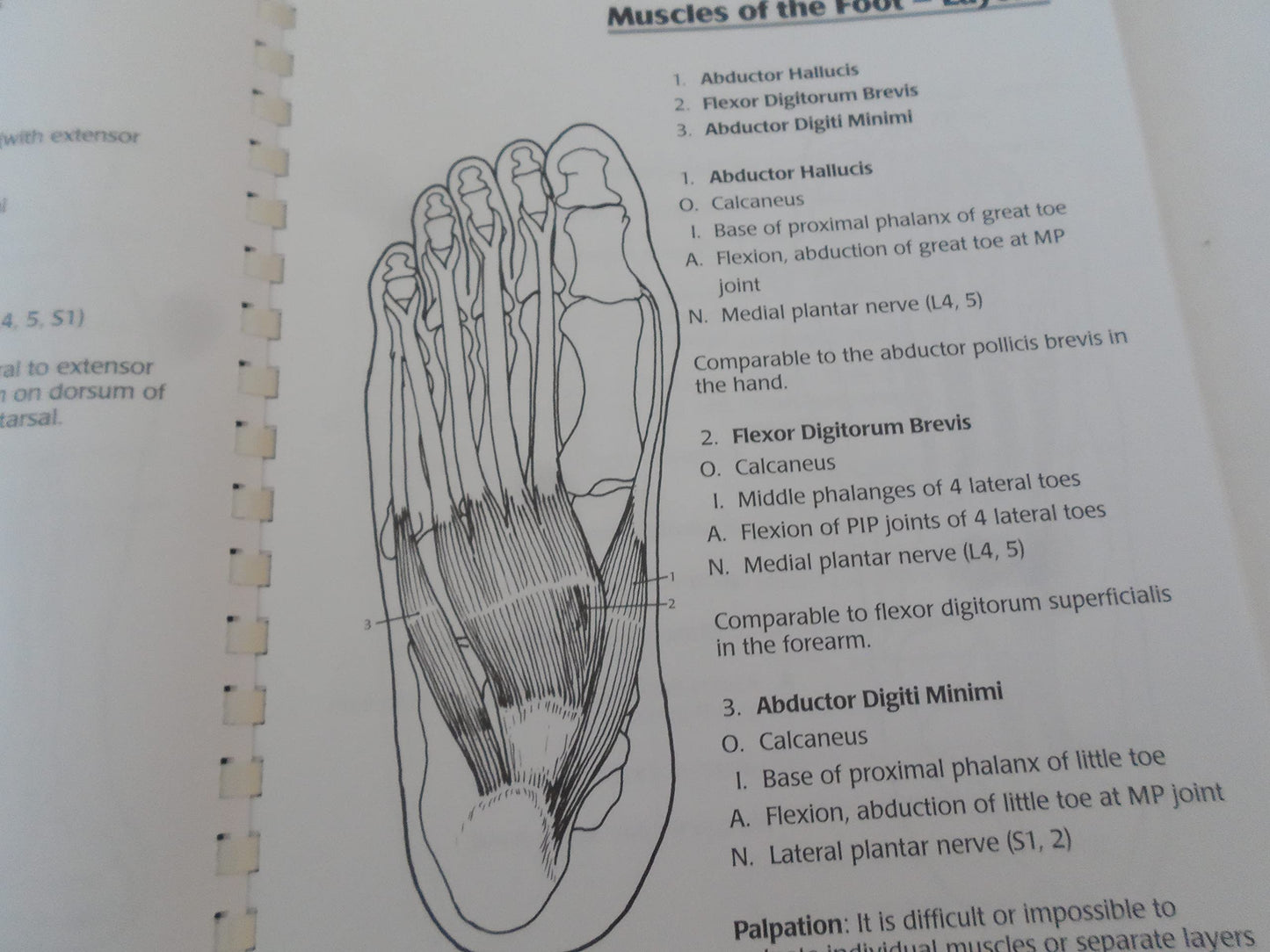 Illustrated Essentials of Musculoskeletal Anatomy by Kay W S