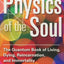 Physics of the Soul: The Quantum Book of Living, Dying, Reincarnation, and Immortality