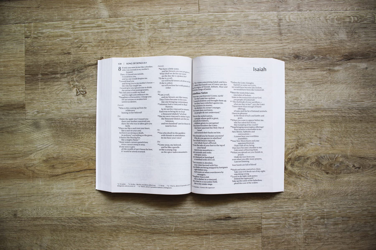 NIV Outreach Large Print Bible for Kids Paperback by Miakarts Books