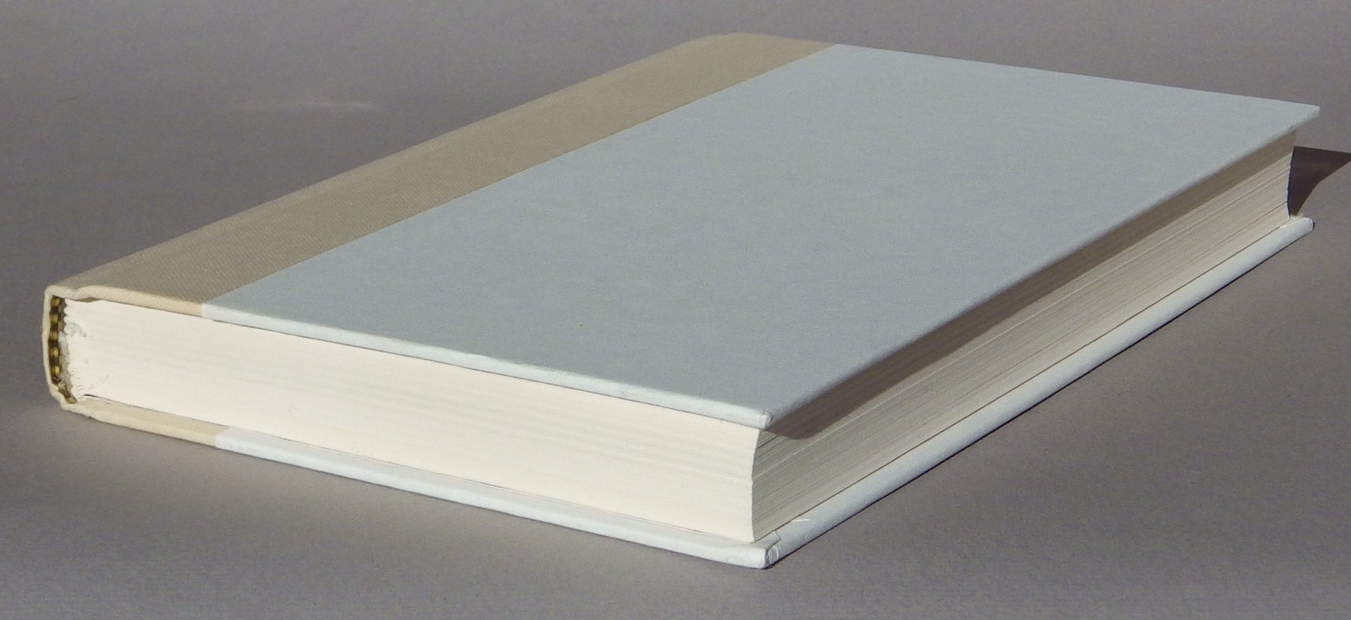 Company: A Novel