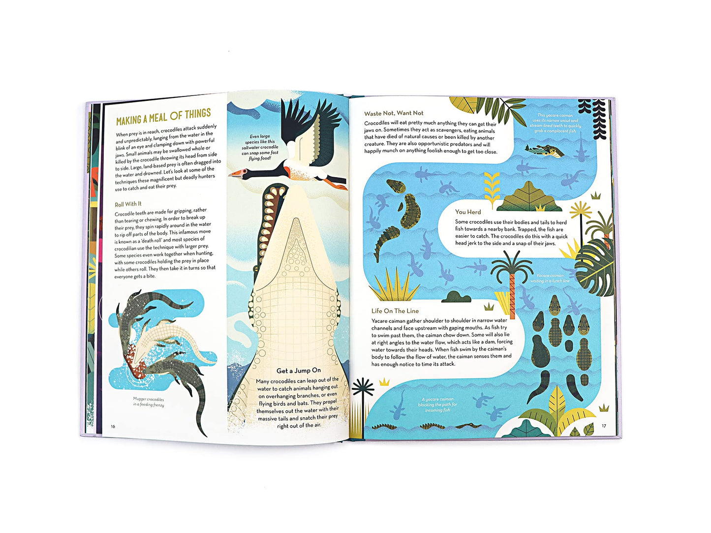 Curious About Crocodiles (About Animals)