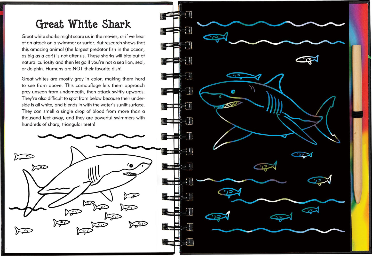 Scratch & Sketch Sharks (Trace Along)