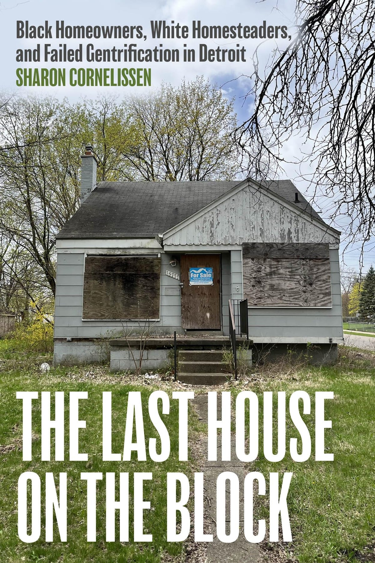 The Last House on the Block: Black Homeowners, White Homesteaders, and Failed Gentrification in Detroit (Ethnographic Encounters and Discoveries)