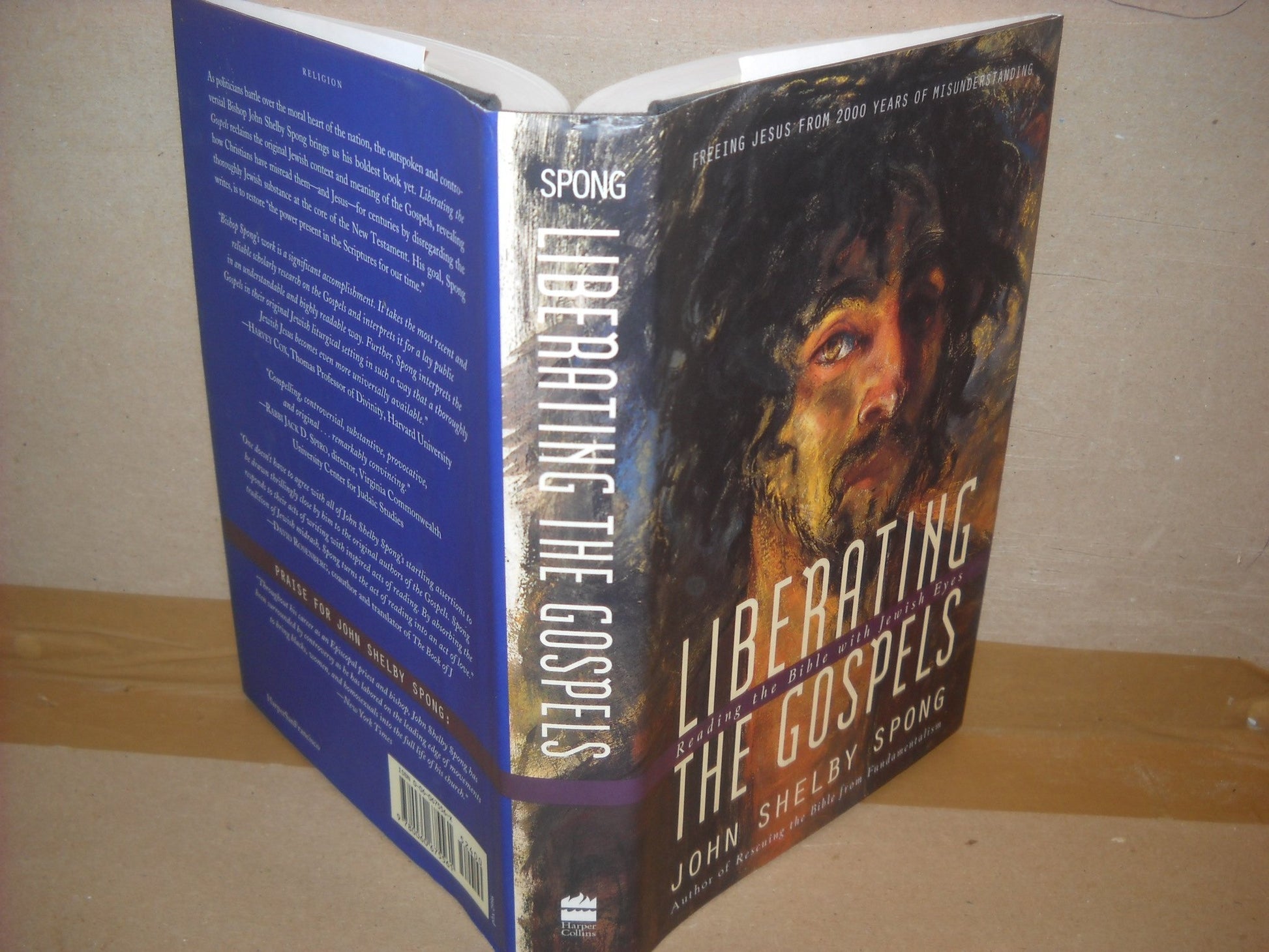 Liberating the Gospels: Reading the Bible with Jewish Eyes: Freeing Jesus from 2,000 Years of Misunderstanding