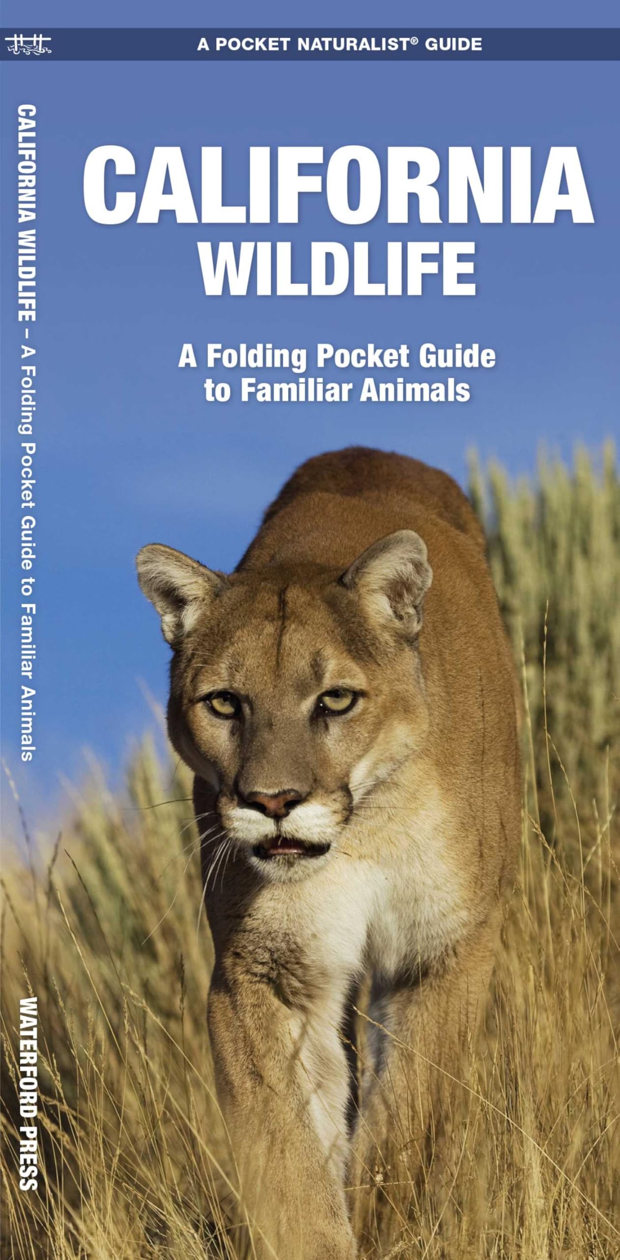 California Wildlife: A Folding Pocket Guide to Familiar Animals (Nature Observation North America)