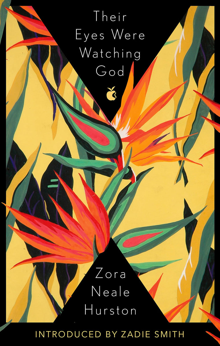 Their Eyes Were Watching God (Virago modern classic)