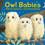 Owl Babies
