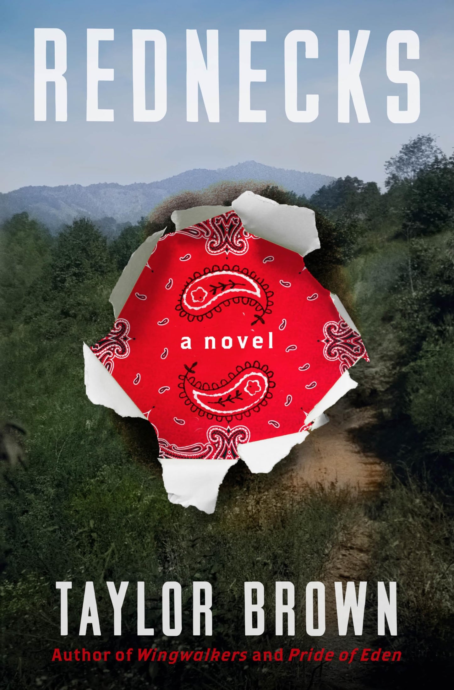 Rednecks: A Novel