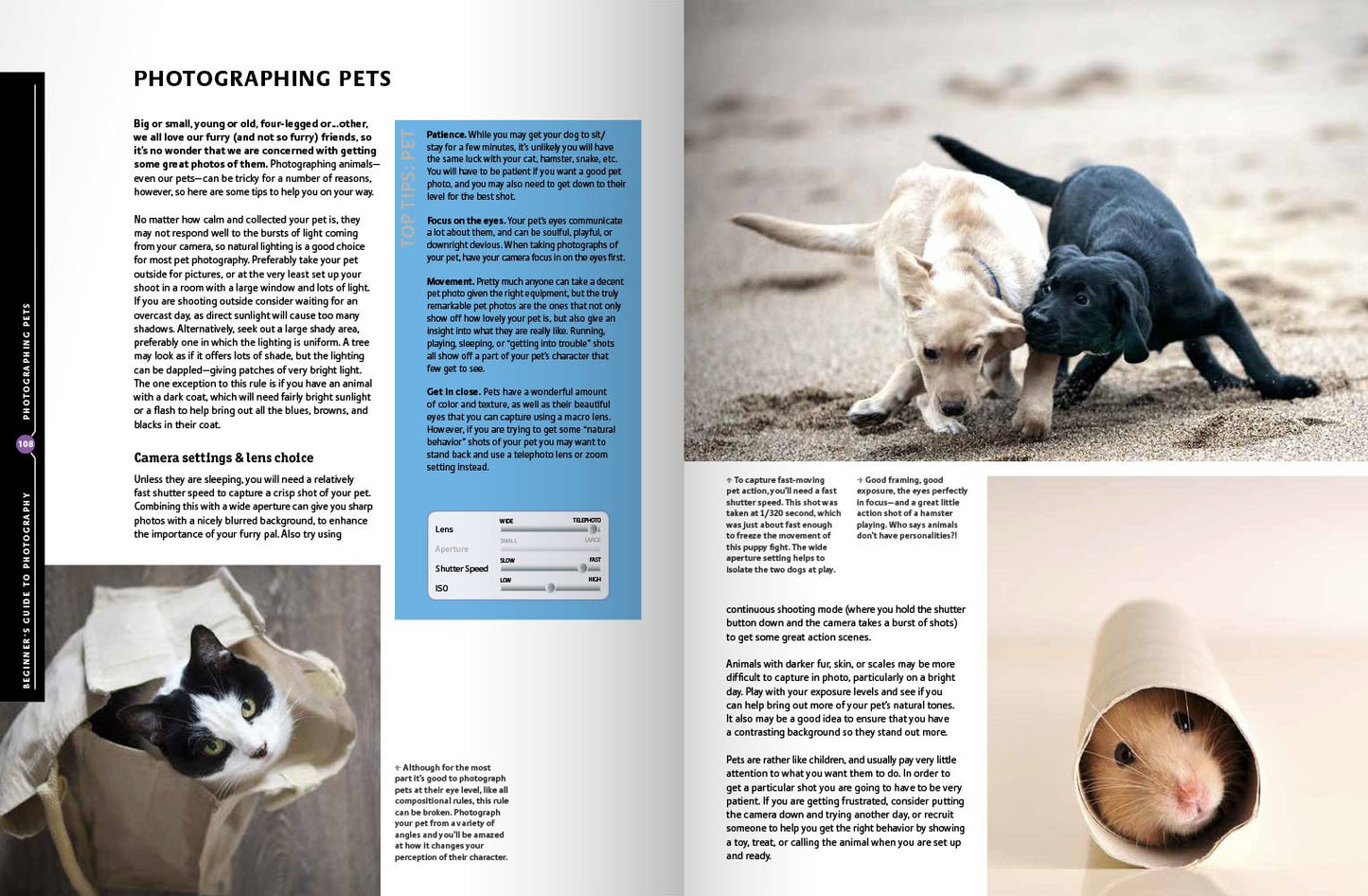 The Beginner's Guide to Photography: No Jargon - Just Great Photos