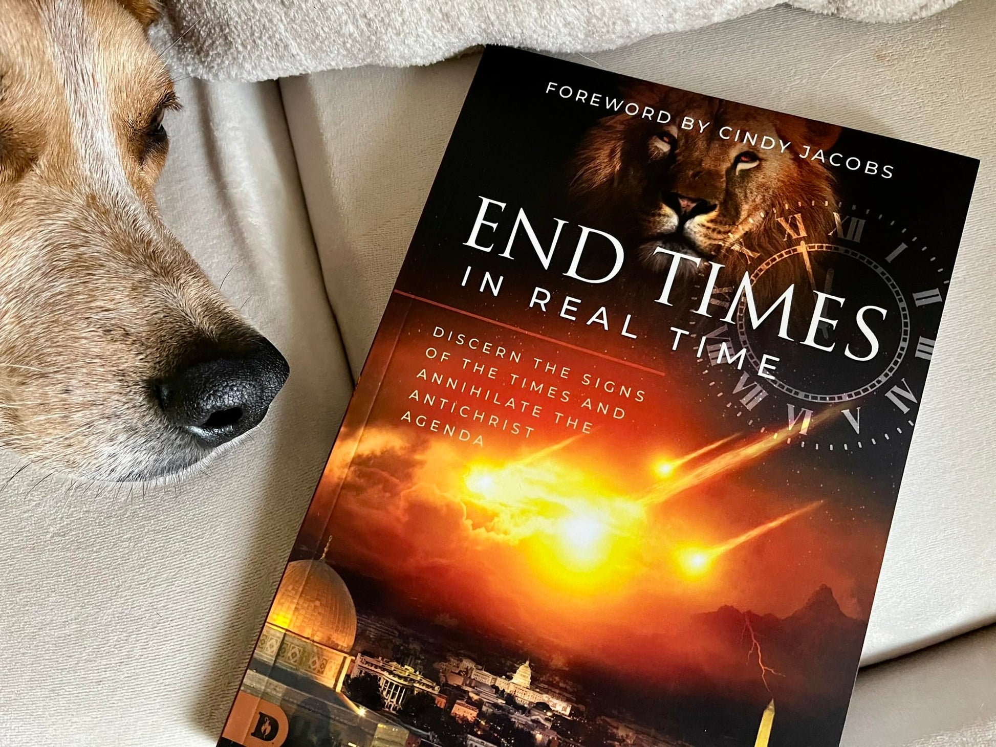 End Times in Real Time: Discern the Signs of the Times and Annihilate the Antichrist Agenda