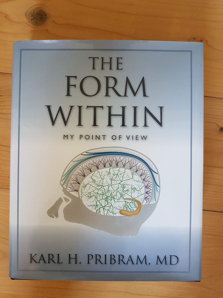 The Form Within: My Point of View