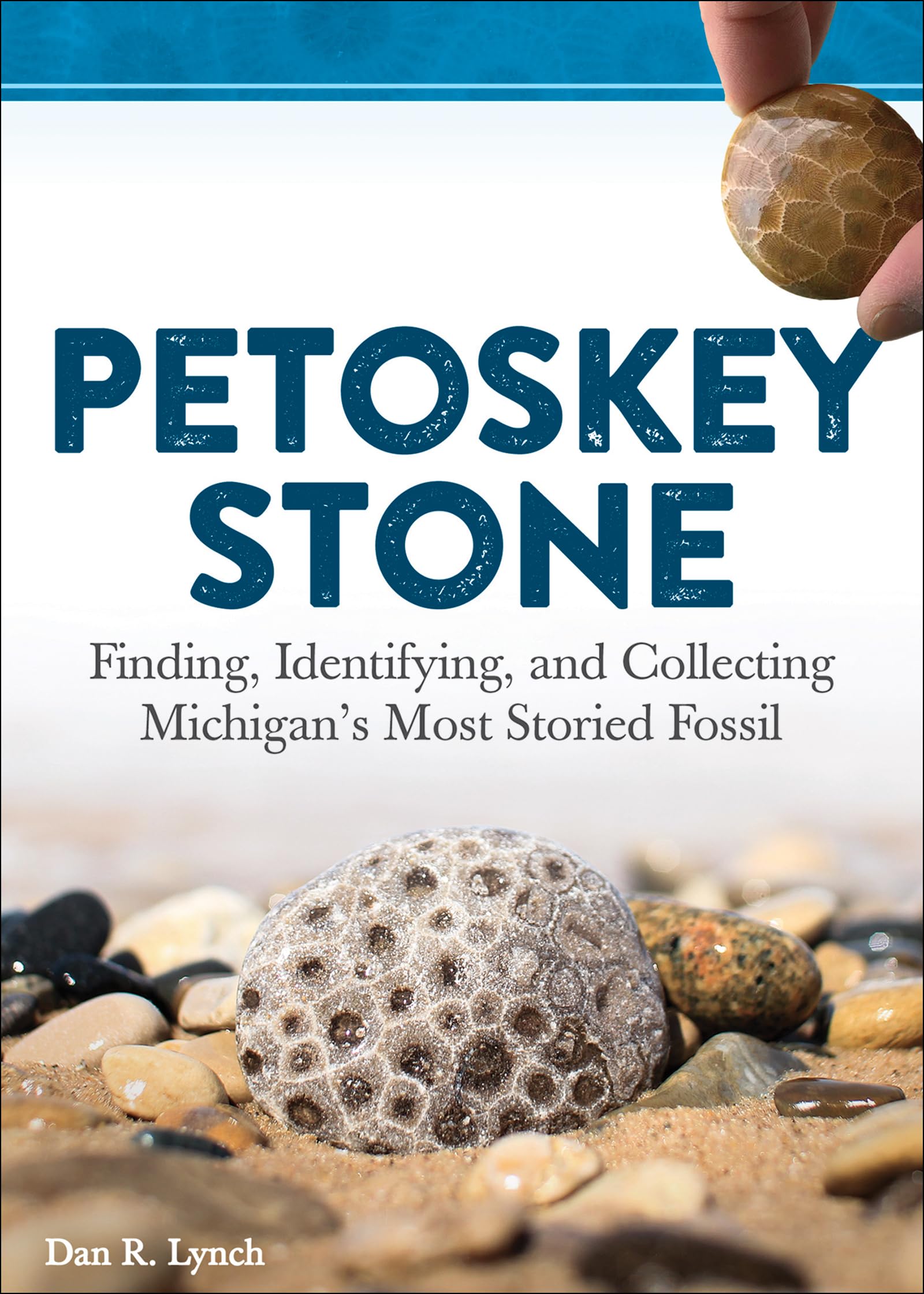 Petoskey Stone: Finding, Identifying, and Collecting Michigans Most Storied Fossil