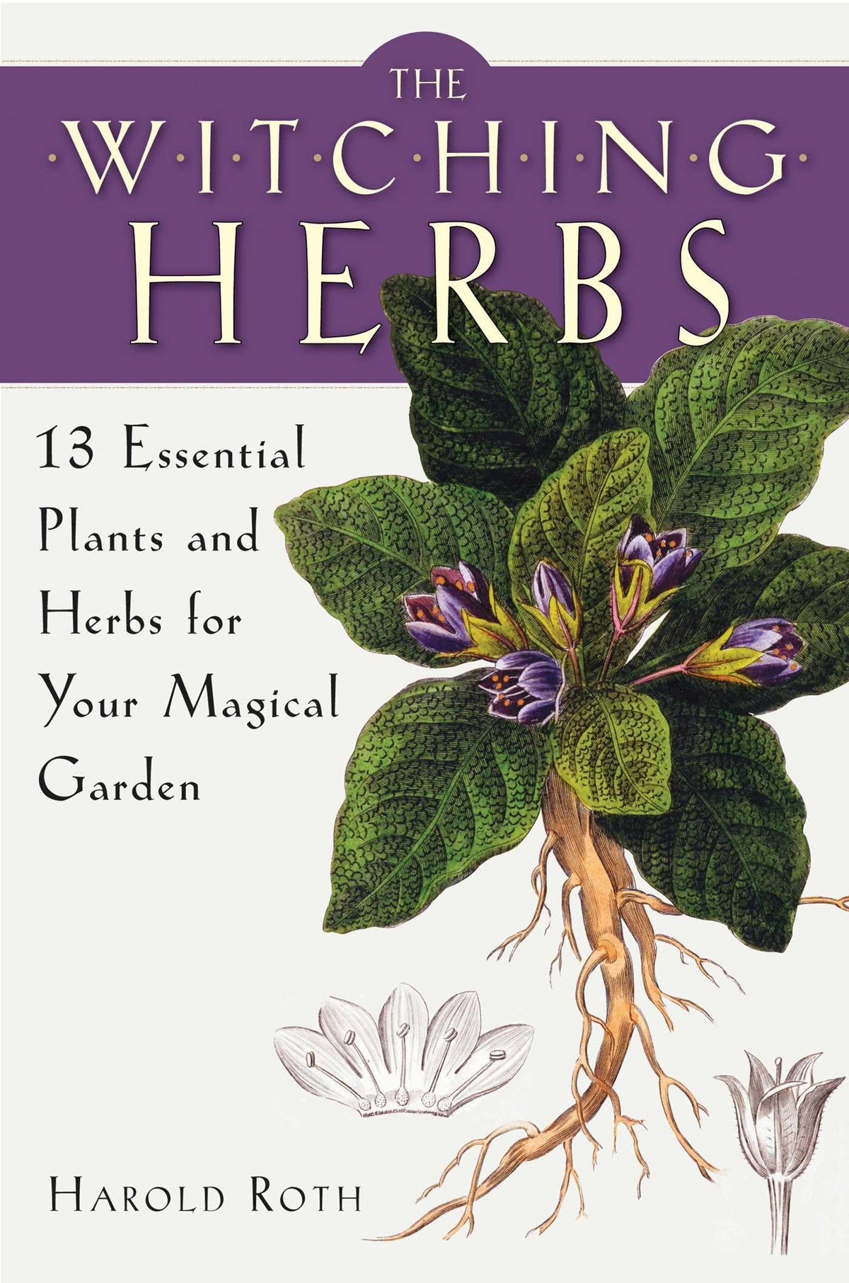 The Witching Herbs: 13 Essential Plants and Herbs for Your Magical Garden