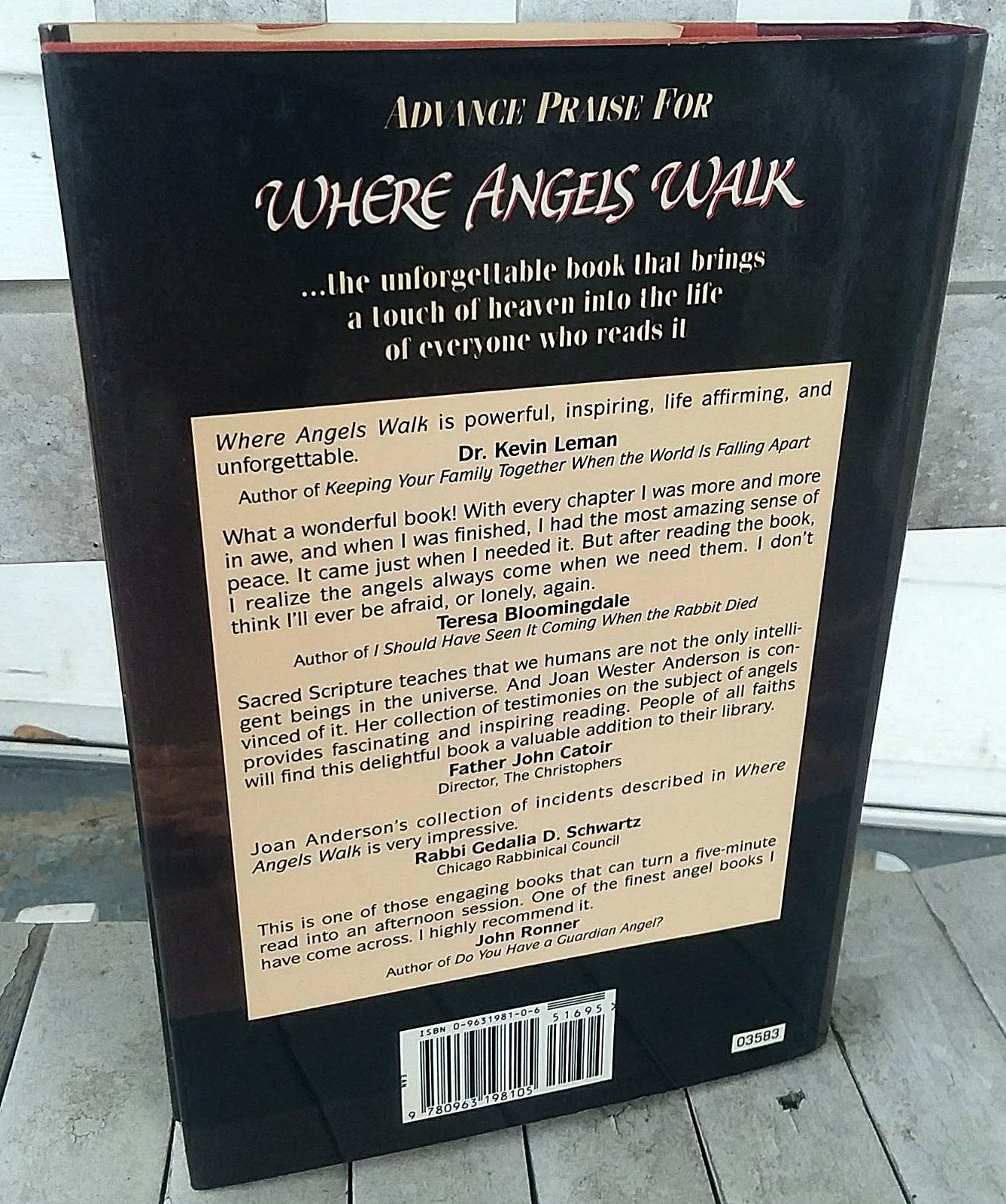 Where Angels Walk: True Stories of Heavenly Visitors
