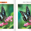 Spot The Difference Puzzle Books, Picture Puzzle Books for Adults and Kids with Over 15 Picture Puzzles, Train Your Brain with Fun Puzzle Activities for All Ages, Volume 1