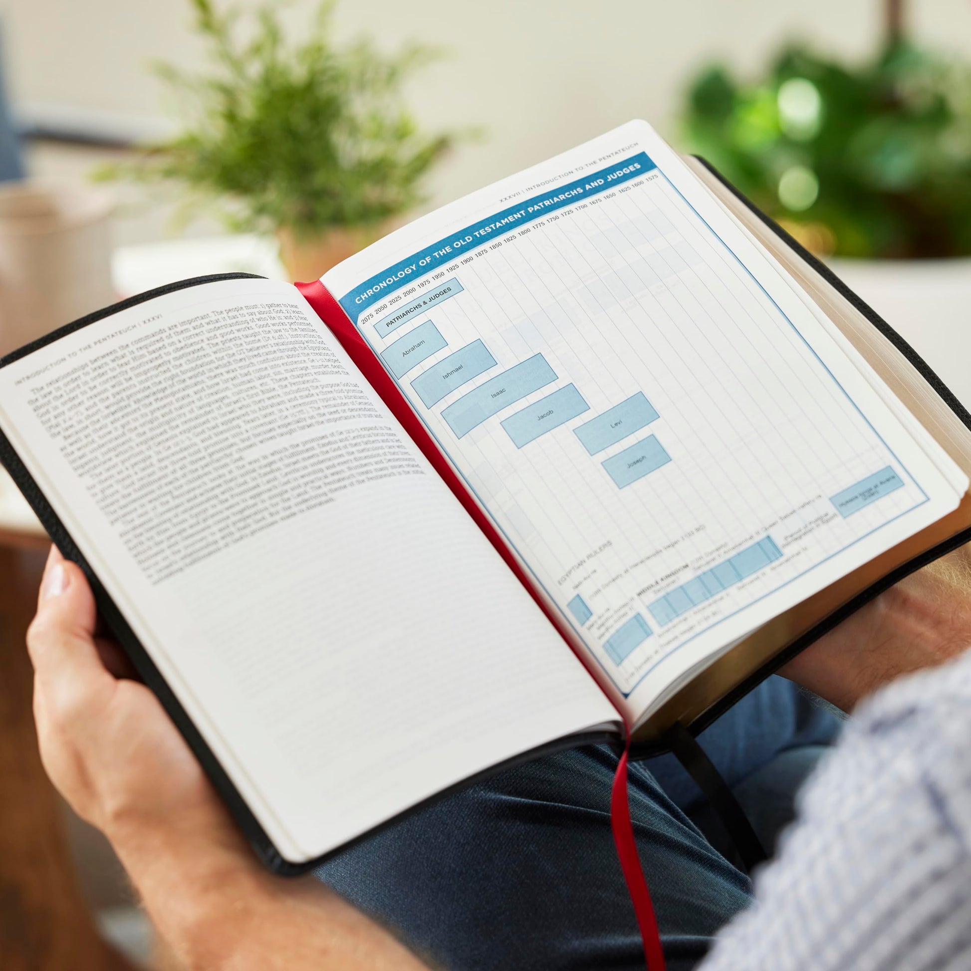 LSB, MacArthur Study Bible, Brown Leathersoft, Comfort Print, Thumb Indexed: Unleashing God's Truth One Verse at a Time (Holy Bible, Legacy Standard Bible)