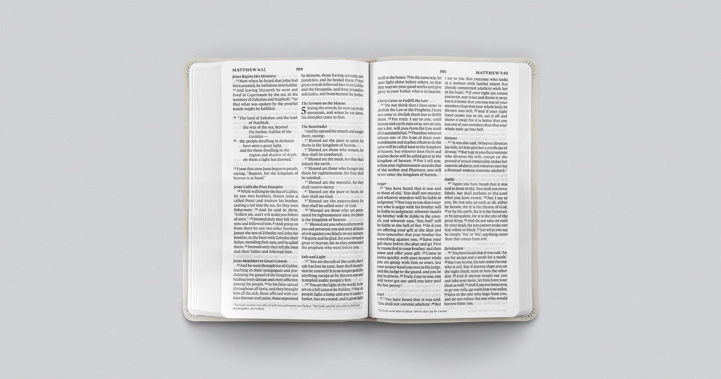 ESV Large Print Value Thinline Bible (TruTone, River Stone, Branch Design): Holy Bible, English Standard Version