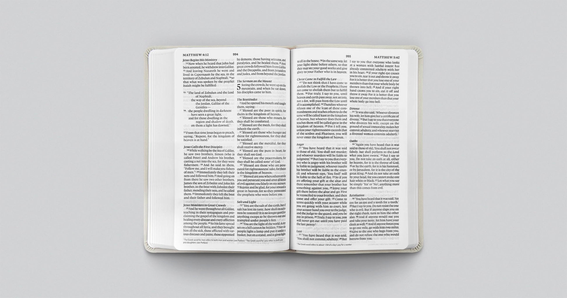 ESV Large Print Value Thinline Bible (TruTone, River Stone, Branch Design): Holy Bible, English Standard Version