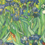Van Gogh Notebook