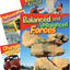 Physical Science Grade 3: 5-Book Set (Science Readers: Content and Literacy)