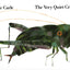 The Very Quiet Cricket (Avenues)