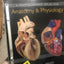 A Photographic Atlas for Anatomy & Physiology (ValuePack onl