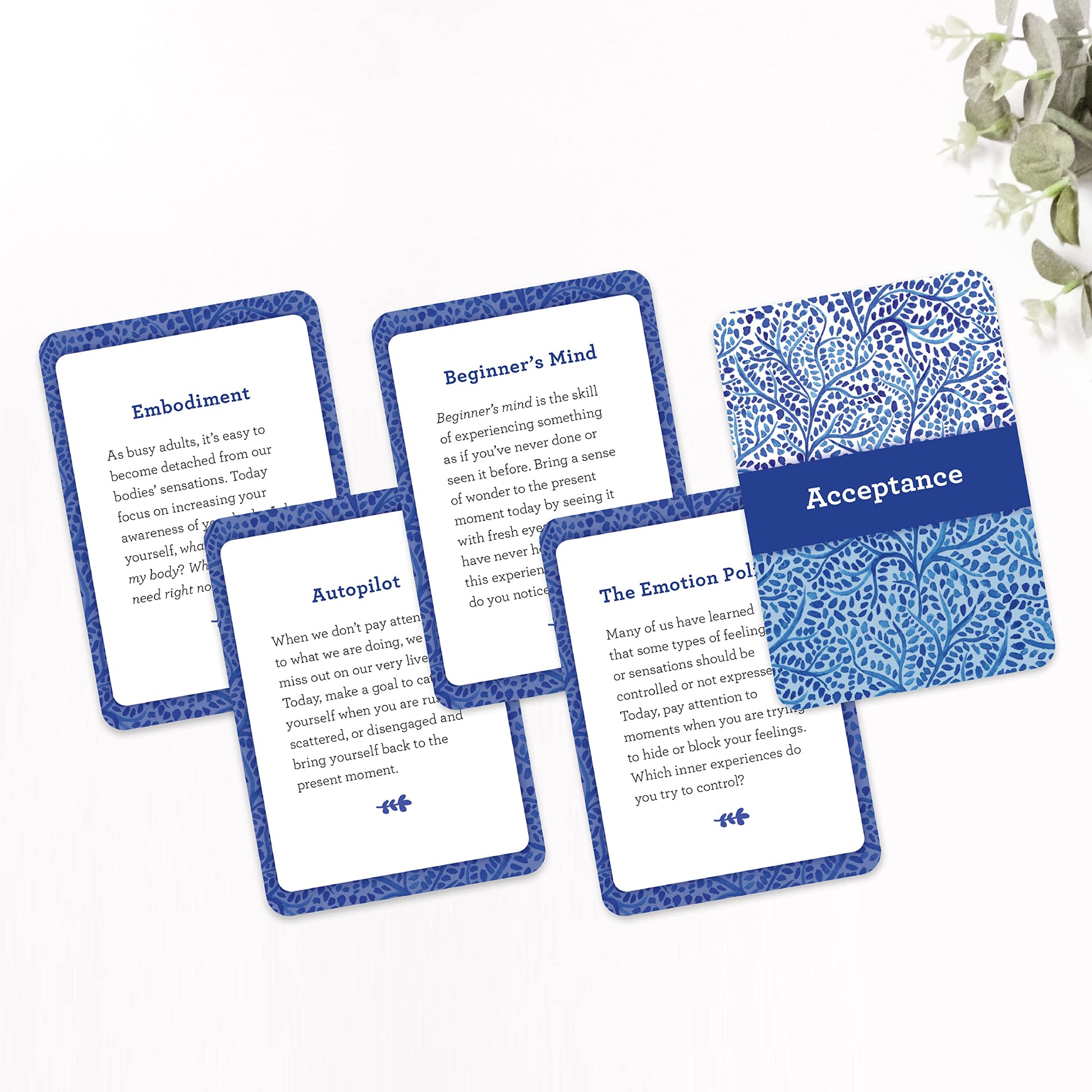 ACT Daily Card Deck: 52 Ways to Stay Present and Live Your Values Using Acceptance and Commitment Therapy