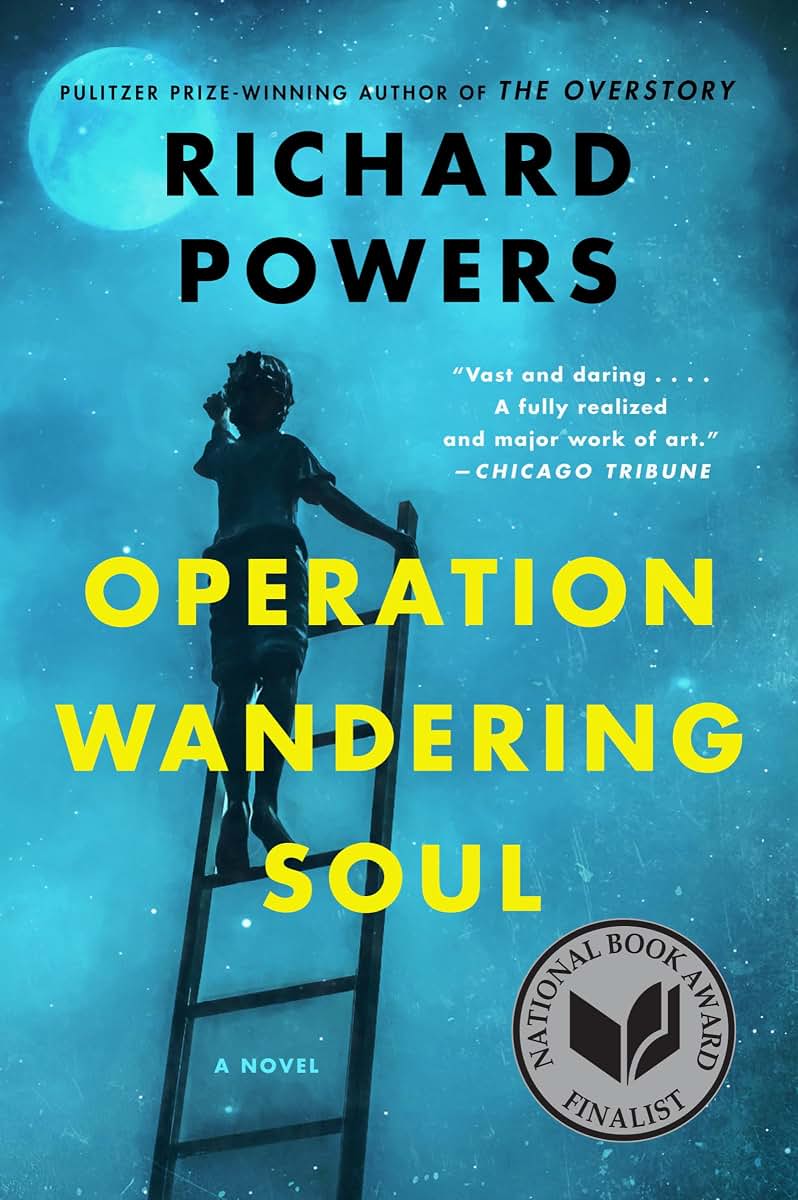 OPERATION WANDERING SOUL