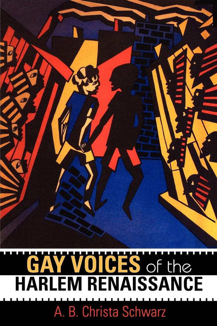 Gay Voices of the Harlem Renaissance (Blacks in the Diaspora)
