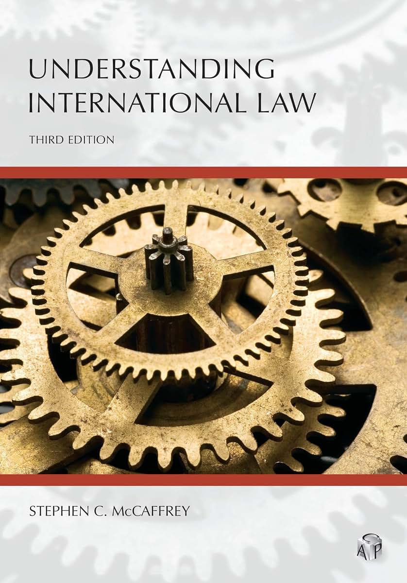 Understanding International Law (Understanding Series)