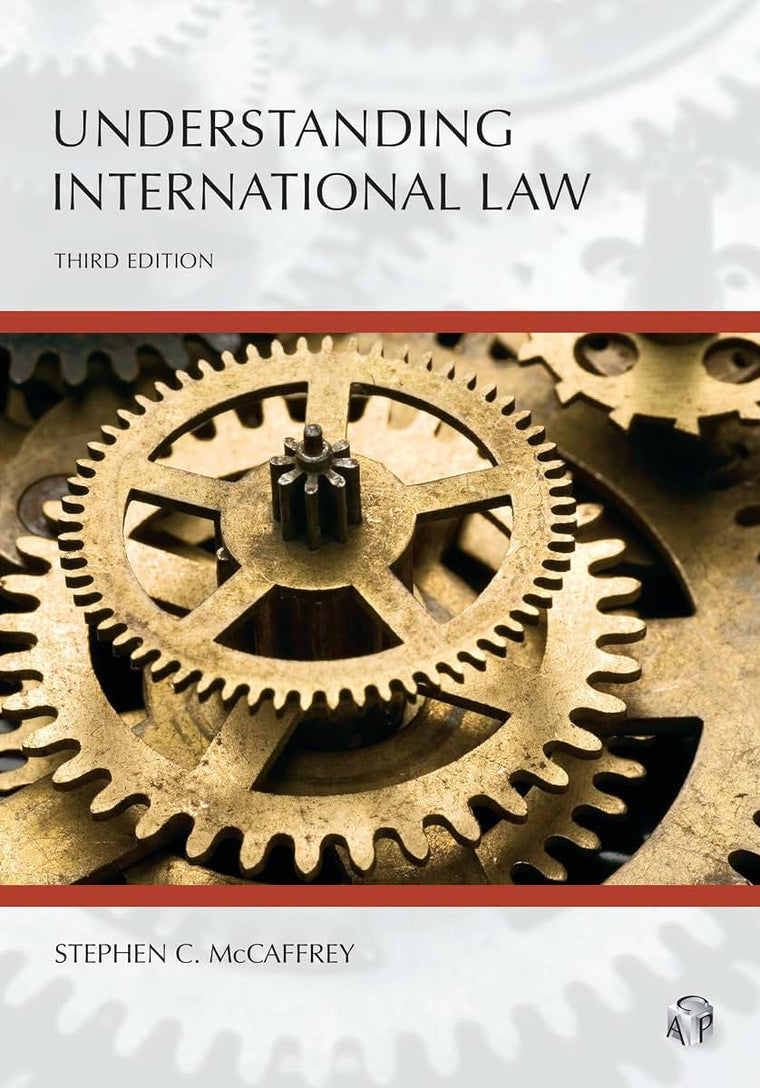 Understanding International Law (Understanding Series)