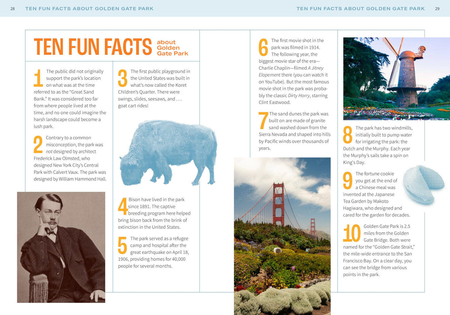 Discovering Golden Gate Park: A Locals Guide