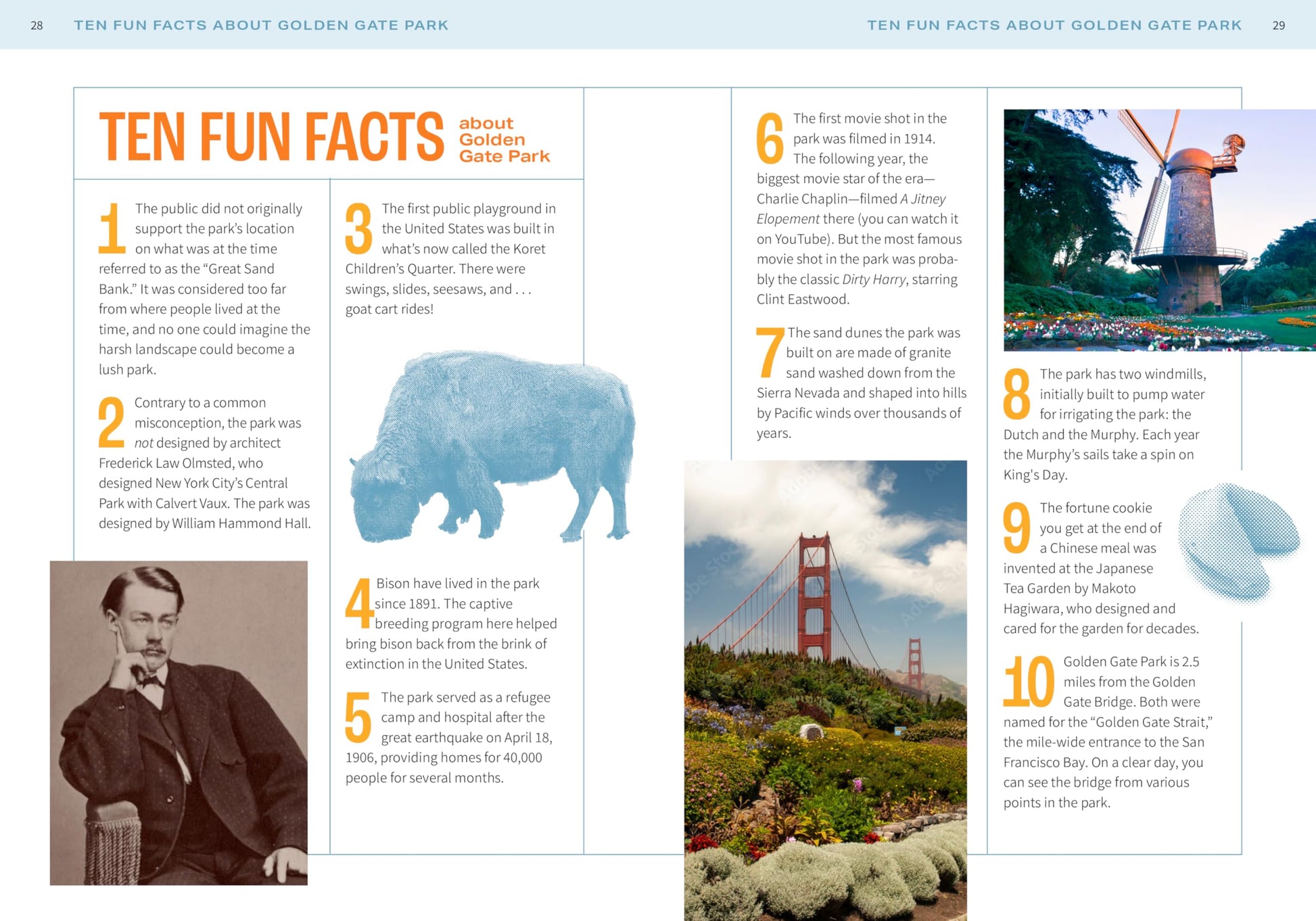 Discovering Golden Gate Park: A Locals Guide