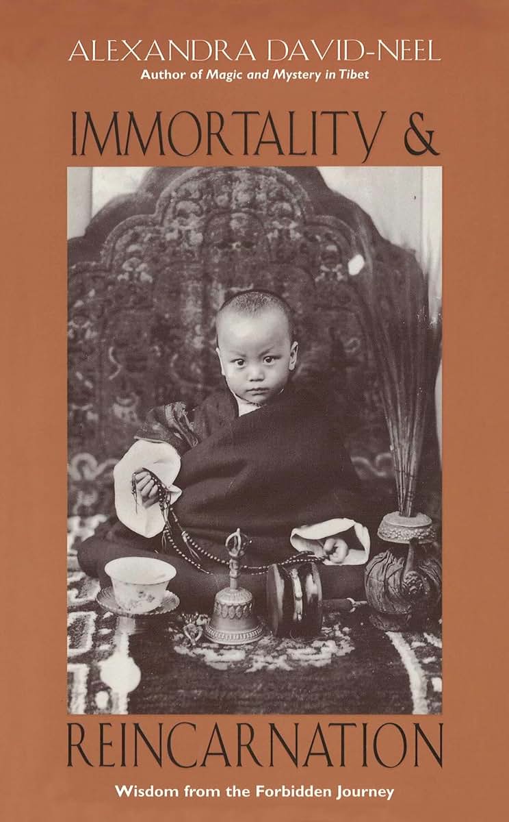 Immortality and Reincarnation: Wisdom from the Forbidden Journey