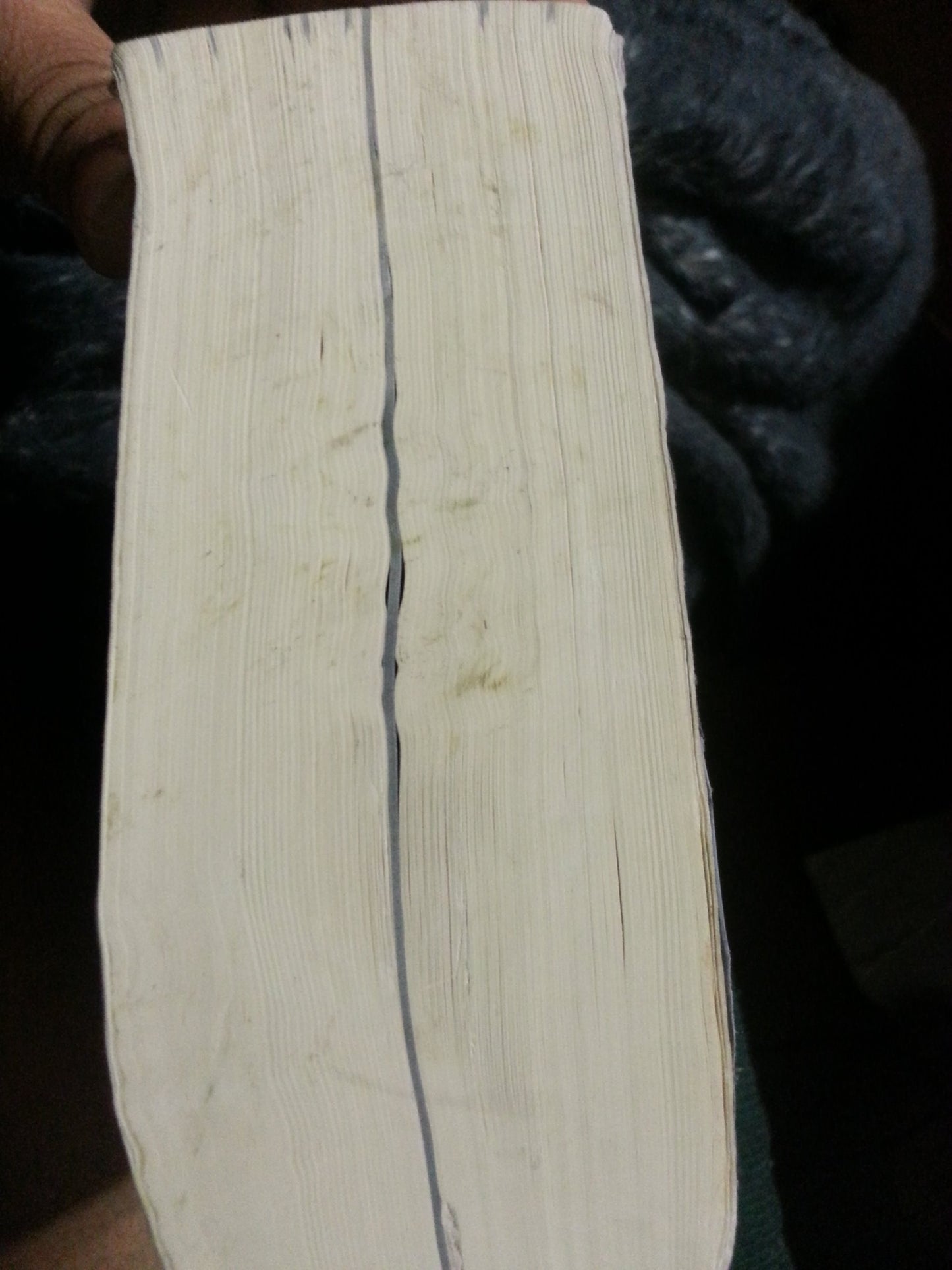 The Norton Anthology of Western Literature, Volume 2