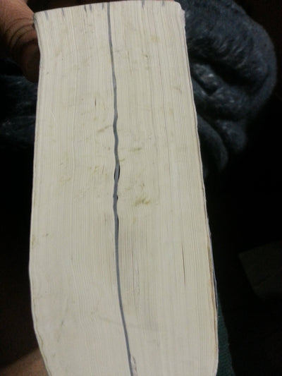 The Norton Anthology of Western Literature, Volume 2