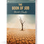 The Book of Job Bible Study (Rose Visual Bible Studies)