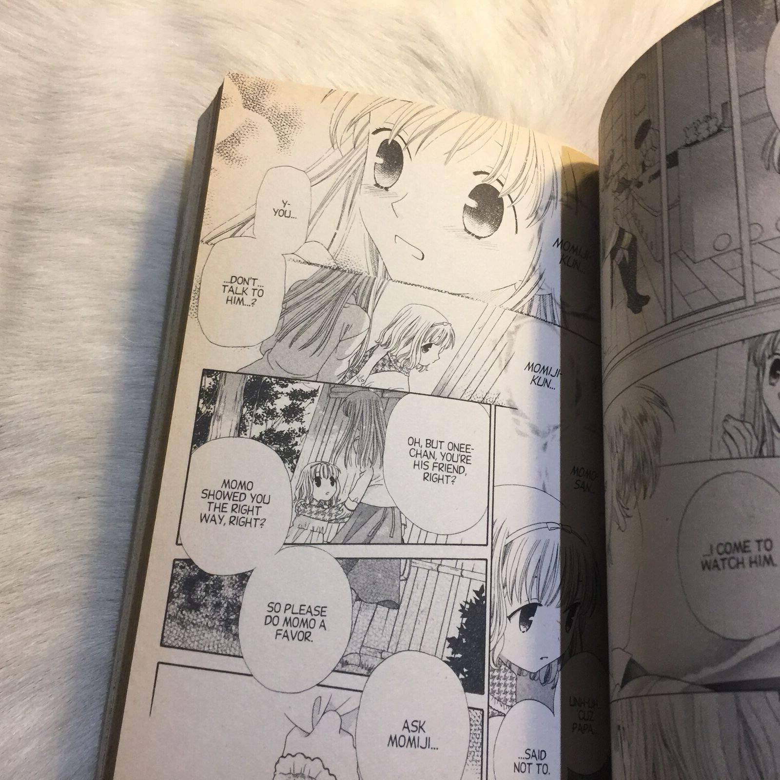 Fruits Basket, Vol. 13