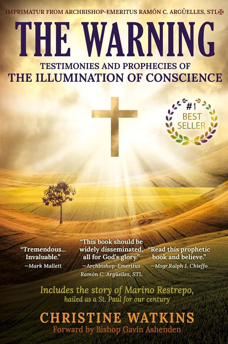 The Warning: Testimonies and Prophecies of the Illumination
