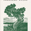 In the Circle of Ancient Trees: Our Oldest Trees and the Stories They Tell