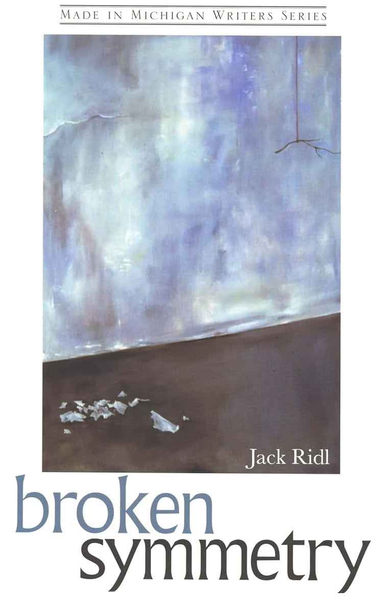 Broken Symmetry (Made in Michigan Writer Series)
