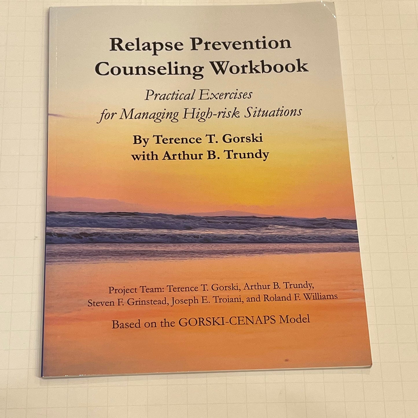 Relapse Prevention Counseling Workbook: Practical Exercises for Managing High-Risk Situations