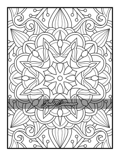 100 Amazing Patterns: An Adult Coloring Book with Fun, Easy, and Relaxing Coloring Pages