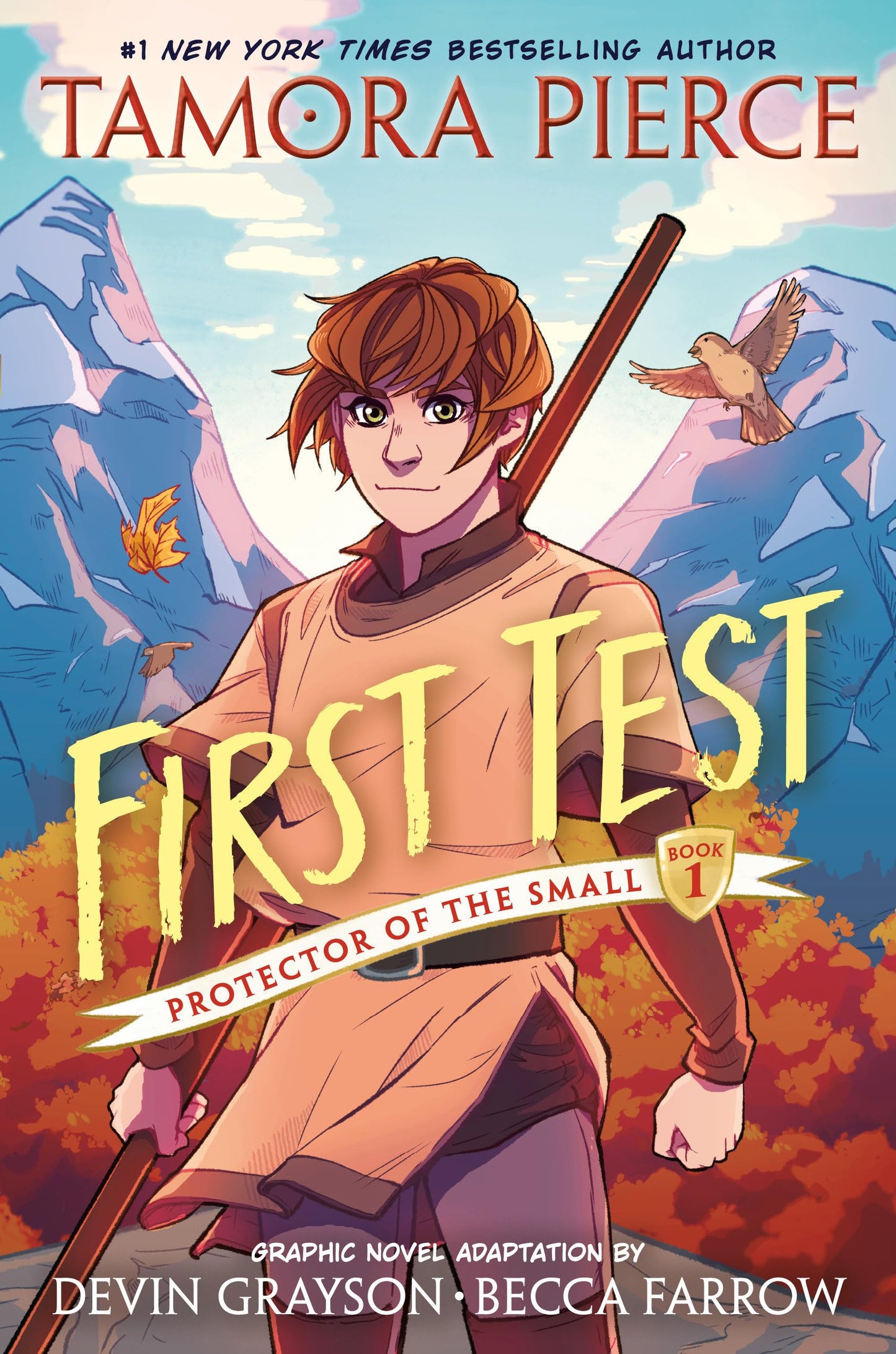 First Test Graphic Novel: Protector of the Small (A Graphic Novel)