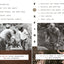 Foxfire: 50th Anniversary Complete Collection Series Set (17 books)